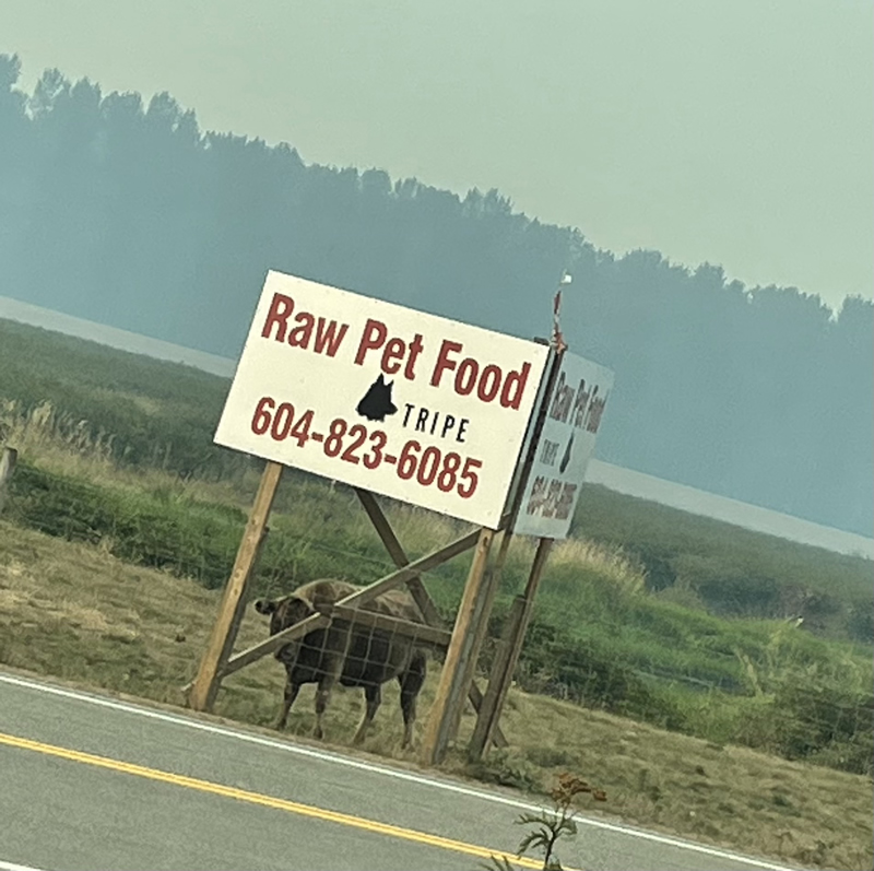 Raw Food by Sharla Cairns